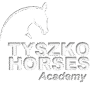 Widzów – Tyszko Horses Academy